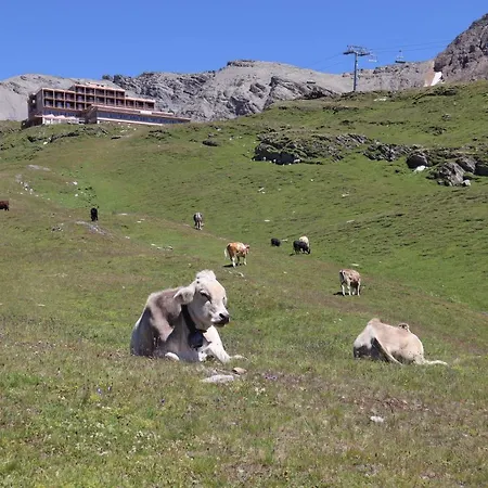 Residenz Darianne 아파트 로이커바드